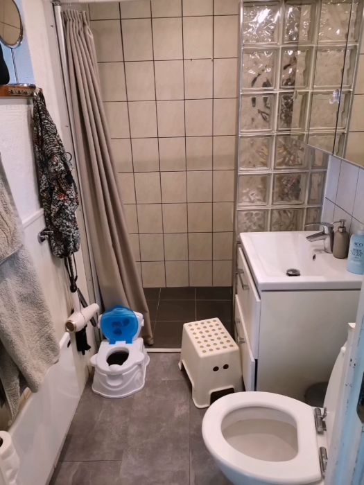 petal_20220911_115421.mp4