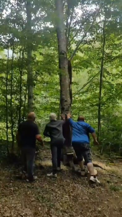 Tre personer promenerar genom en lummig skog. De är klädda i vardagskläder och omringade av gröna träd och fallna löv.