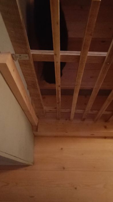 Trappa i trä med en svart katt som tittar ner mellan spjälorna från övervåningen.