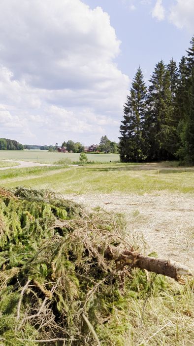 Det är en film av en lantlig miljö med ett öppet fält, lador i bakgrunden, blå himmel och några trädgrenar i förgrunden.