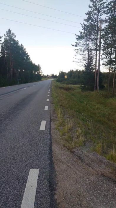 En kort film där vi använder en grävmaskin för att flytta en myrstack enligt instruktioner från min 5-åriga brorson. Han tog verkligen rollen som arbetsledare på allvar! Lite extrajobb på helgen som gjorde att andra projekt fick vänta.