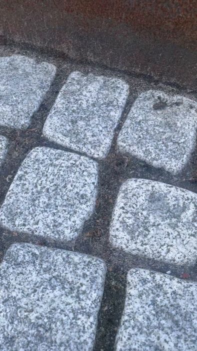 En användare visar problem med fogmassan från stenläggningen. Trots användning av Dynamatrix hårdfog kvarstår problem med att fogmassan aldrig stelnar och istället får grön påväxt.