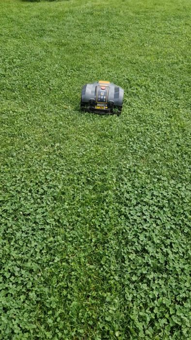 Tack vare hjälpen från forumet så fungerar robotgräsklipparen nu, även om den är lite trött och ofta åker för att ladda. Planerar att undersöka problemet vidare under dagen.