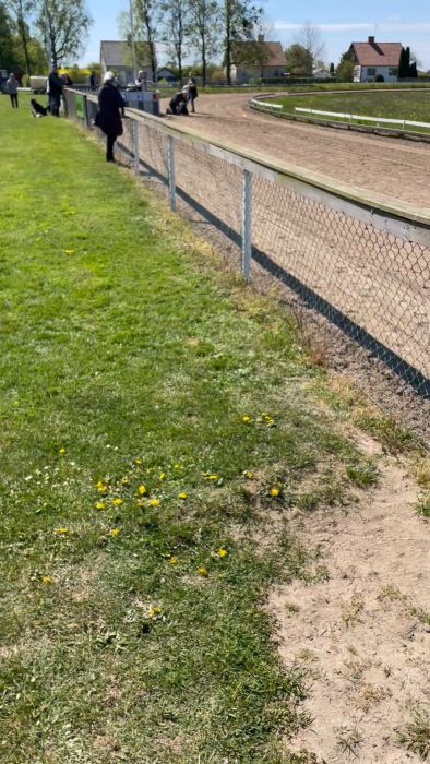Följ med när hunden gör sitt första besök på hundkapplöpningsbanan. Upplev hur den reagerar på både släphare och maskinhare under träningen. En spännande inblick i sporten och hundens upplevelse på banan.