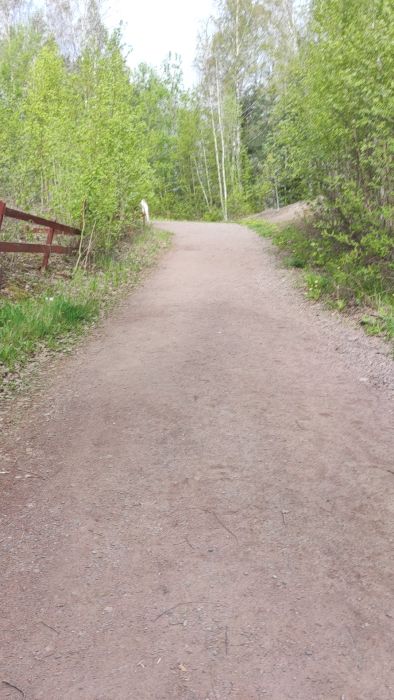 VID_20250512_091940.mp4