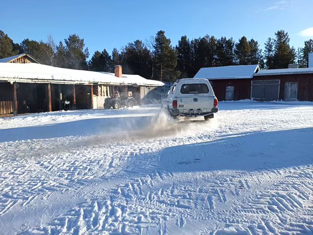 VID_20250310_141950.mp4