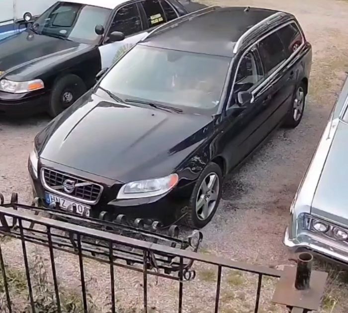 I denna film fortsätter de återkommande rävbesöken. Se en nyfiken räv möta en katt på gården medan den utforskar omgivningen. Vad tror du katten tänker om detta oväntade besök?