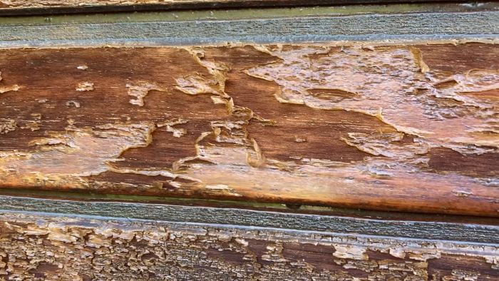 Se hur du slipar och oljar garageportar för att förbättra deras skick utan att använda lasyr. Guiden hjälper dig att ta bort lösa delar och få en hållbar yta. Perfekt för dig som vill underhålla ditt hem på ett korrekt sätt.