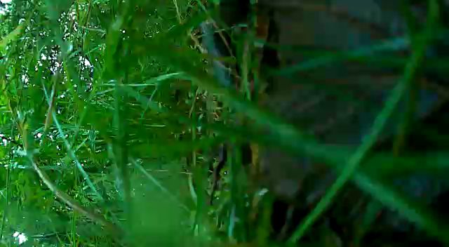 3_20250707_215108.mp4