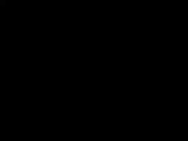 OnlyCat_1.mov