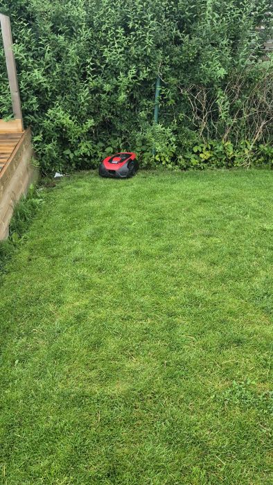 Se hur en Meec Tools 300m2 robotgräsklippare beter sig konstigt efter reparation av moderkortet. Inga uppdateringar har löst problemet. Upplev hur den nu lever sitt eget liv i trädgården.