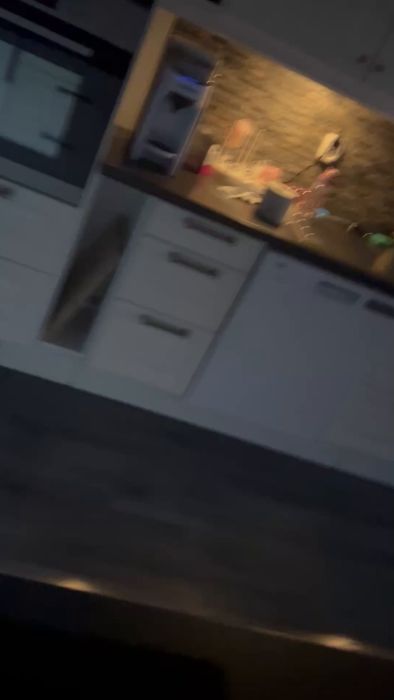 Upptäck svagt kvittrande ljud från en gammal takfläkt som styrs via alliancefläkten i köket. Ljudet är hörbart bara i grundläget, vilket väcker frågan om smörjning kan lösa problemet, eller om fläkten snart behöver bytas ut.