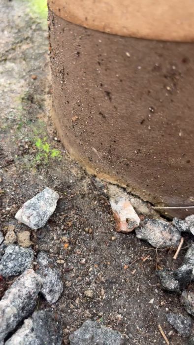 Se en genomgång av gjutning av plintar med 8 säckar grovbetong utan kemankarinfästning i berget. Diskutera eventuella problem med belastning från bjälklag och trall, och om tyngden påverkar plintarnas stabilitet.