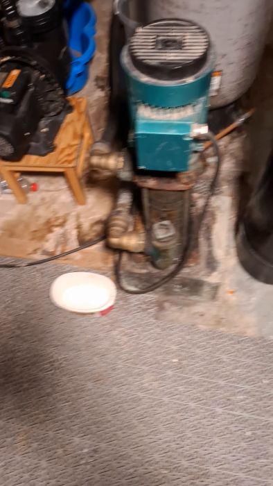 Se vår gamla vattenpump som har börjat låta dåligt, troligen på grund av slitna lager. Pumpen är 50 år gammal och vi överväger om det är dags att byta ut den. Expertråd önskas för hur akut bytet är.