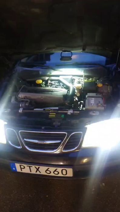 Snapchat-1278301360.mp4