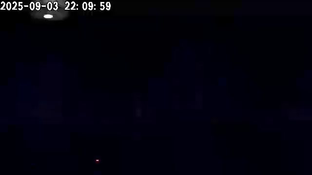 Efter ett nattligt strömavbrott vägrade de smarta lamporna att återansluta, vilket ledde till kaos när de blev otillgängliga i appen. Detta resulterade i ett oplanerat disco hemma, med lampor som blinkade utan kontroll. En upptäckt av teknikens brister.