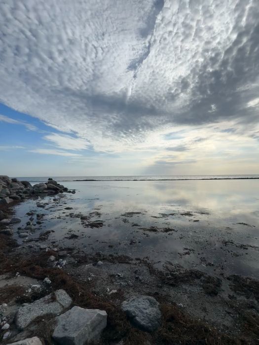 Diskussion om vindkraftverkens påverkan på utsikten vid kusten i Skåne. Är de en förstörd vy eller en nödvändig energilösning? Ironiska och sarkastiska synpunkter från lokala invånare som protesterar mot utbyggnaden.