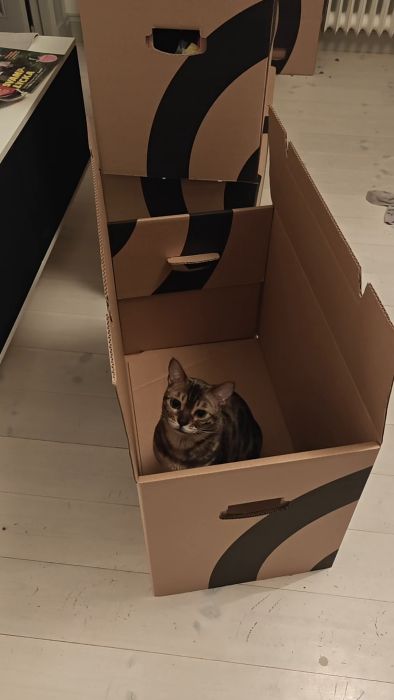 VID20251030232219.mp4