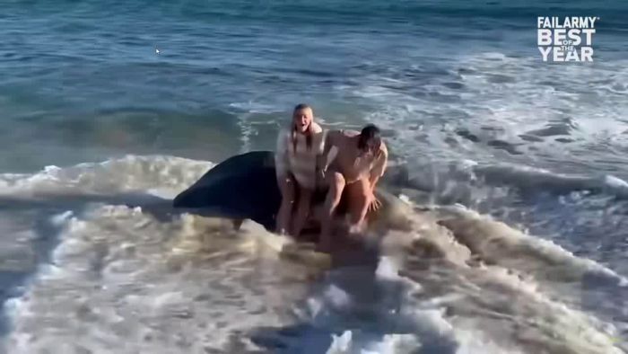 En humoristisk video relaterad till att bygga och renovera hus, där oväntade händelser och överraskningar ger anledning till skratt. Perfekt för den som gillar att se den lättsamma sidan av byggprojekt.