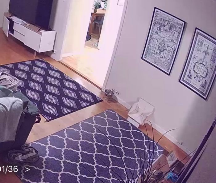 Fånga det ögonblick när hunden går på ett matäventyr i huset. En charmig scen där fyrbenta familjemedlemmar visar sin kärlek för mat. Perfekt för alla djurälskare.