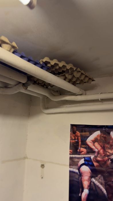 Upptäck ursprunget till trummande ljud från rör efter installation av ny värmepump. Ljudet hörs i källaren och sker oftast på kvällar och nätter. Finns det en förklaring? Se videon för att lyssna på fenomenet och bidra med dina teorier.