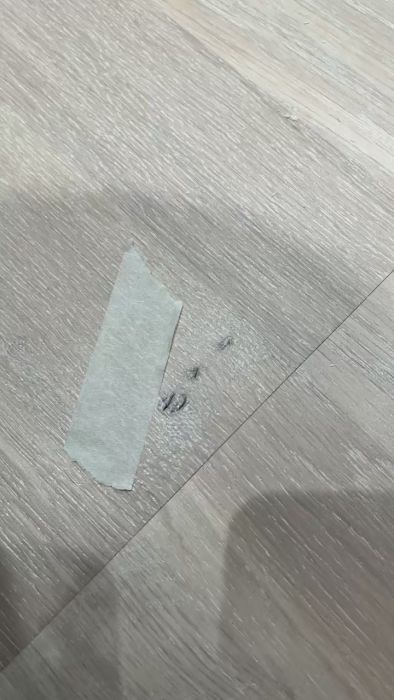 Jag har köpt parkettgolv från Bjelin och undrar om det är normalt att det finns hål i kvistarna. Se filmen för en närmare titt och dela gärna med dig av dina erfarenheter eller råd kring detta.