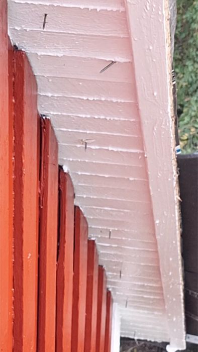 En husägare i Blekinge har problem med en takrenovering där entreprenören misslyckas med att hålla löften och utför skadliga arbeten. Regn har orsakat inomhusskador och kommunikationen med företaget har varit bristfällig. Läs mer om deras erfarenheter och sök råd.