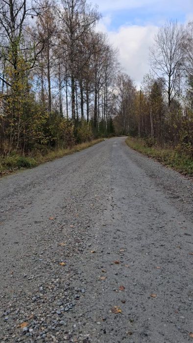 Följ med Jesko och Rosa på en avkopplande promenad längs en grusväg omgiven av naturen. En perfekt utflykt för ett par energiska vovvar som njuter av friheten i skogen.