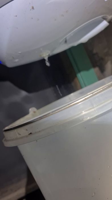 En Tesy Bilight varmvattenberedare från 2019 läcker vatten genom ett omärkt hål, vilket orsakar vatten på källargolvet. Filmen visar läckaget och diskuterar möjligheter att använda pannans varmvatten tills en ersättare kan installeras.