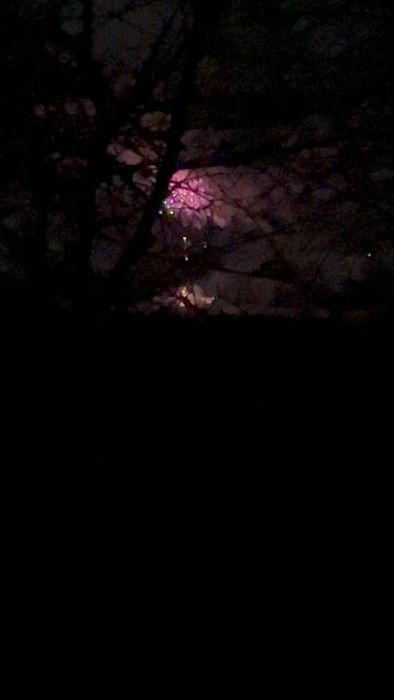 IMG_4821.MOV