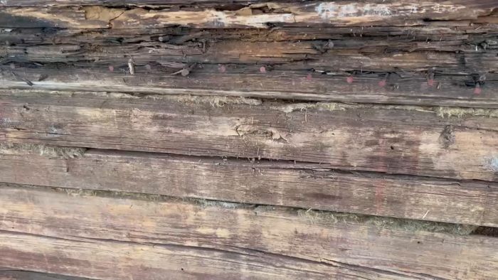 Utforska processen att byta ut ruttna stockar i ett gammalt timmerhus. Filmen visar detaljer kring hur man hanterar fuktskadade stockar under ett fönster och diskuterar utmaningar och lösningar vid renovering av en fönsterkarm från år 1828.