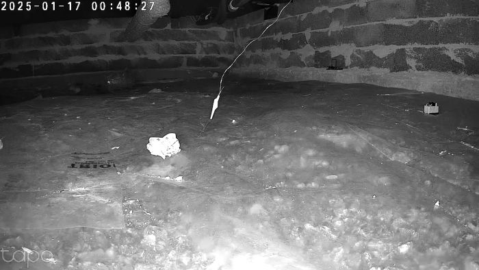 Se hur en råtta undviker fällor i ett garage. Trots att katten varit där saknas fortfarande råttan på kameran. Tidigare strategier inkluderade fällor och gift från Anticimex. Utför en djupdykning i övervakningen och utmaningarna med att hantera skadedjur.