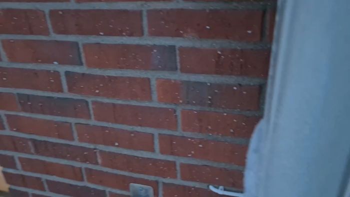 video_2026-02-03_12-32-53.mp4