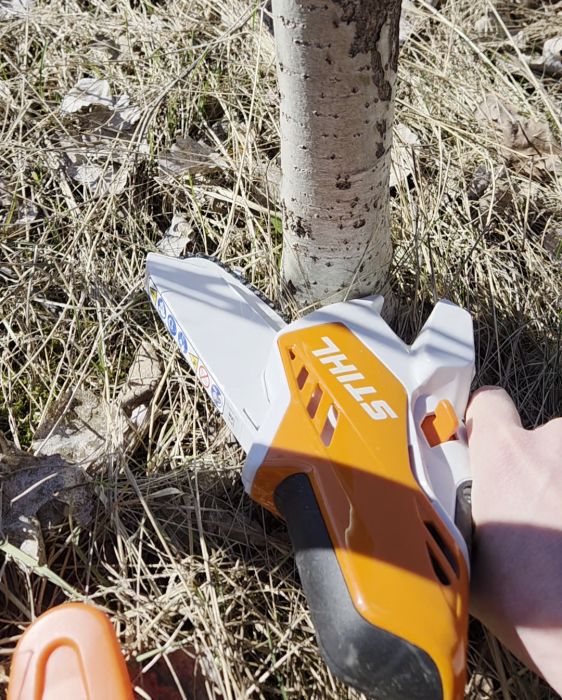 Upptäck hur en kompakt såg effektivt fäller ett asp rotskott. Perfekt för jobb i trånga utrymmen som efter flytt av en studsmatta. Se filmen om hur enkelt det är att hantera mindre projekt med rätt verktyg.