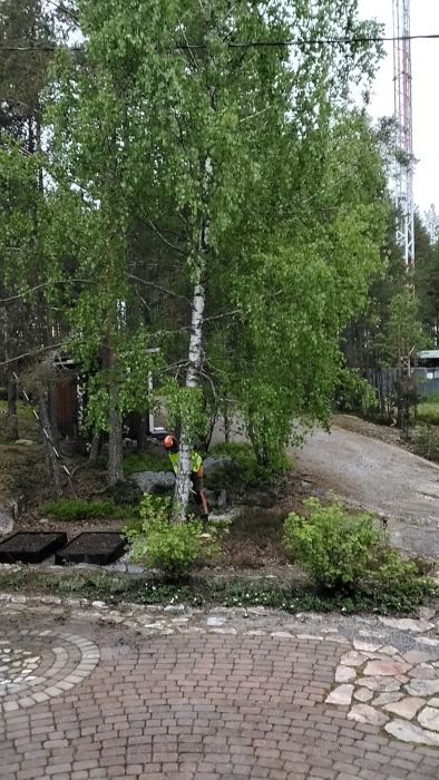 20260522_090419.mp4