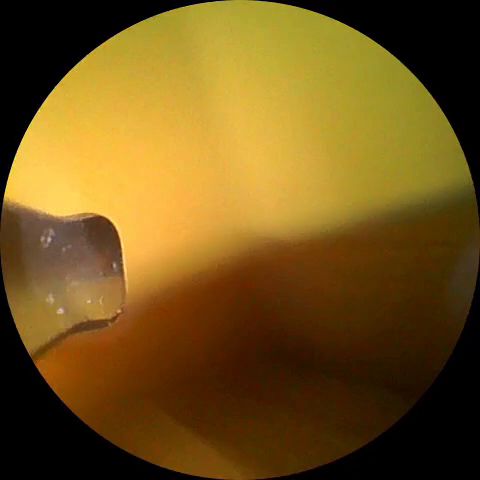 Video_2026-06-04 12_27_17_720_1_1.mp4
