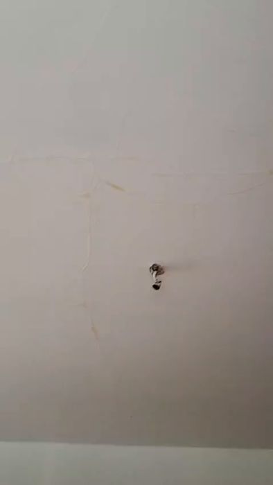 WhatsApp Video 2026-07-26 at 14.50.58.mp4