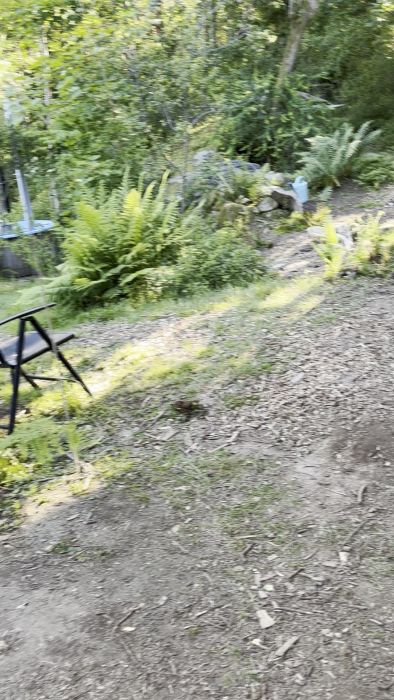 20260625_161400000_iOS.MOV
