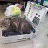 oleg