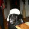schander