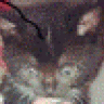 byggabra