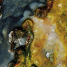 Tigers eye