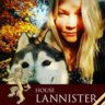 Lannizter