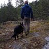 Svinpesten