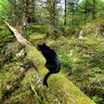 TuSk