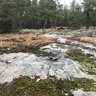 Bergsmåla