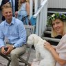 DanskenH
