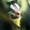 mandus