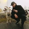 Kanelenn