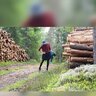 Ettlitetyrväder